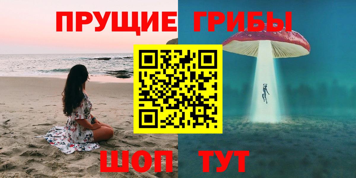 Псилоцибиновые грибы мухоморы  магазин  наркотиков  Кингисепп  Вход с VPN 