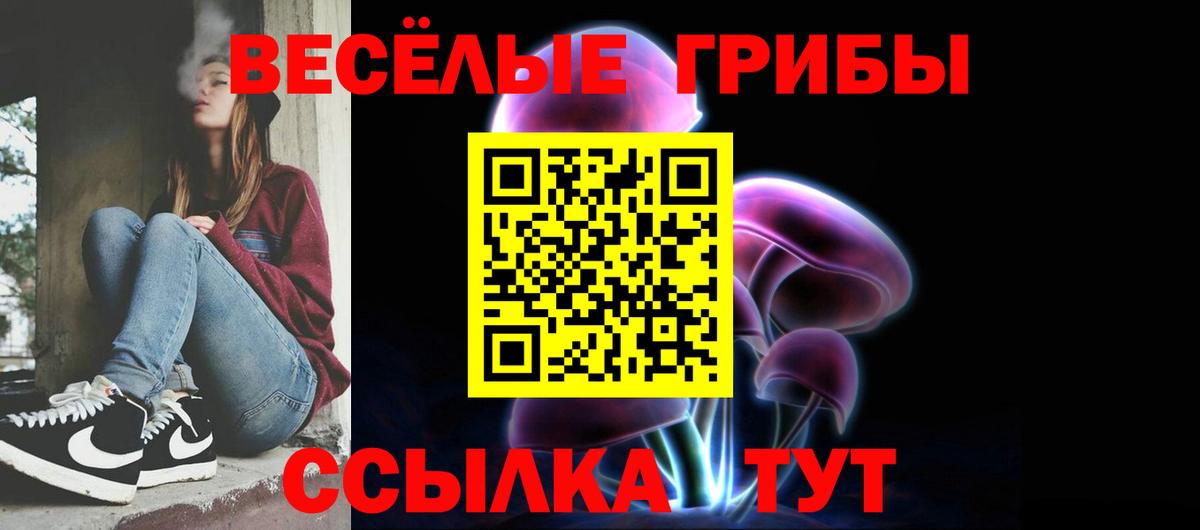 Галлюциногенные грибы мицелий Кингисепп